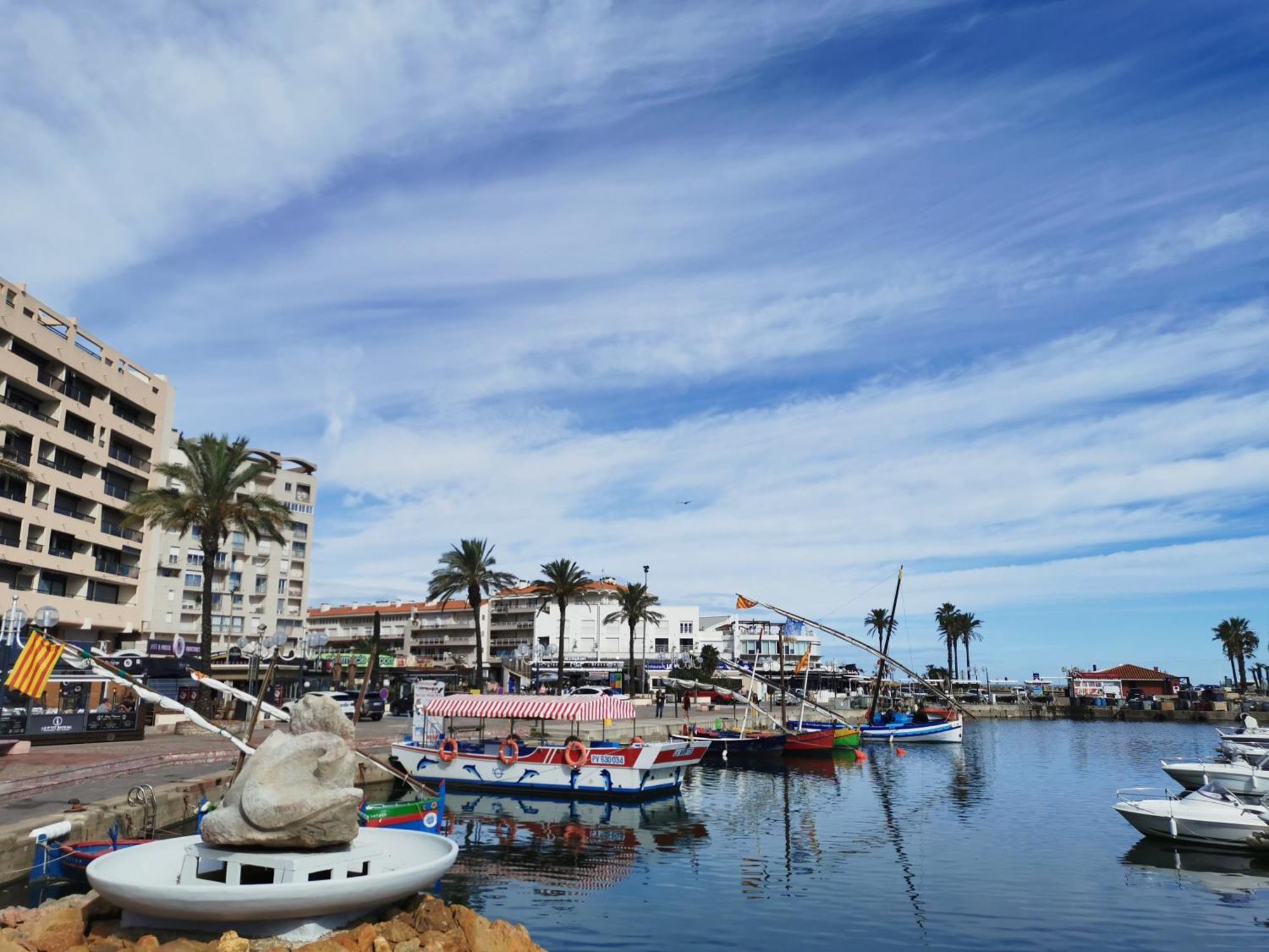 Appartement Refait A Neuf, Climatise Avec Vue Mer Et Montagne, Avec Place De Parking Privative Saint-Cyprien  Exteriér fotografie