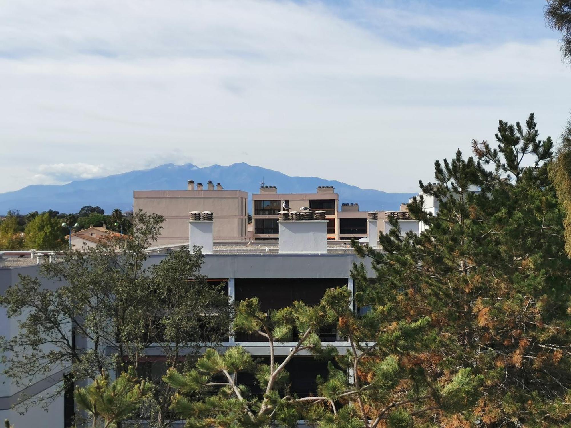 Appartement Refait A Neuf, Climatise Avec Vue Mer Et Montagne, Avec Place De Parking Privative Saint-Cyprien  Exteriér fotografie
